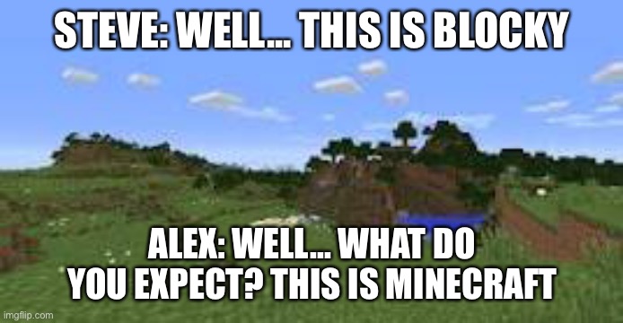 Blocky Landscape | STEVE: WELL... THIS IS BLOCKY; ALEX: WELL... WHAT DO YOU EXPECT? THIS IS MINECRAFT | image tagged in minecraft | made w/ Imgflip meme maker