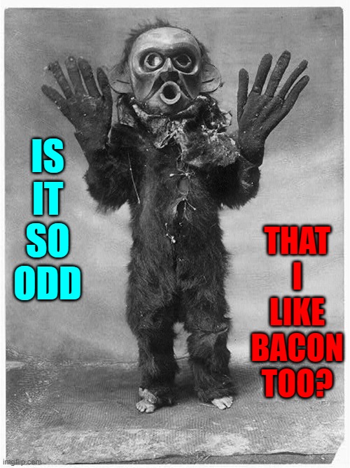 Everyone Loves Bacon even ____________ (fill in the blank) | THAT I LIKE BACON TOO? IS IT SO ODD | image tagged in vince vance,pigs,bacon,vegans,weirdo,memes | made w/ Imgflip meme maker