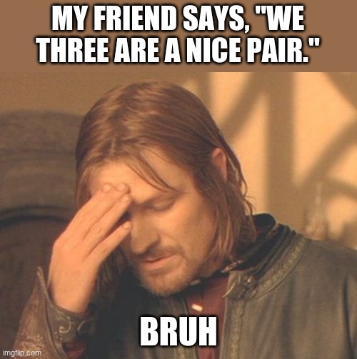 true |  MY FRIEND SAYS, "WE THREE ARE A NICE PAIR."; BRUH | image tagged in memes,frustrated boromir | made w/ Imgflip meme maker
