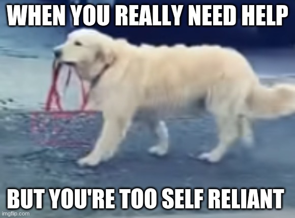 WHEN YOU REALLY NEED HELP; BUT YOU'RE TOO SELF RELIANT | made w/ Imgflip meme maker