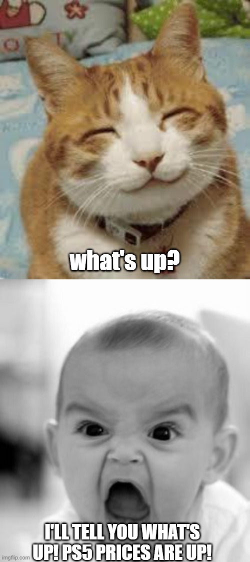 i need to be doing my school.... | what's up? I'LL TELL YOU WHAT'S UP! PS5 PRICES ARE UP! | image tagged in happy cat,memes,angry baby | made w/ Imgflip meme maker