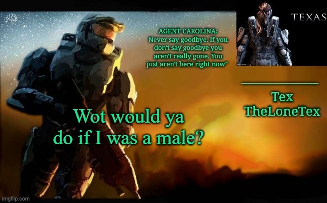 Idfk | Wot would ya do if I was a male? | image tagged in announcement templaaatteee | made w/ Imgflip meme maker
