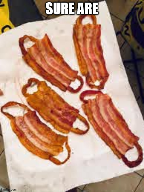 Bacon masks | SURE ARE | image tagged in bacon masks | made w/ Imgflip meme maker