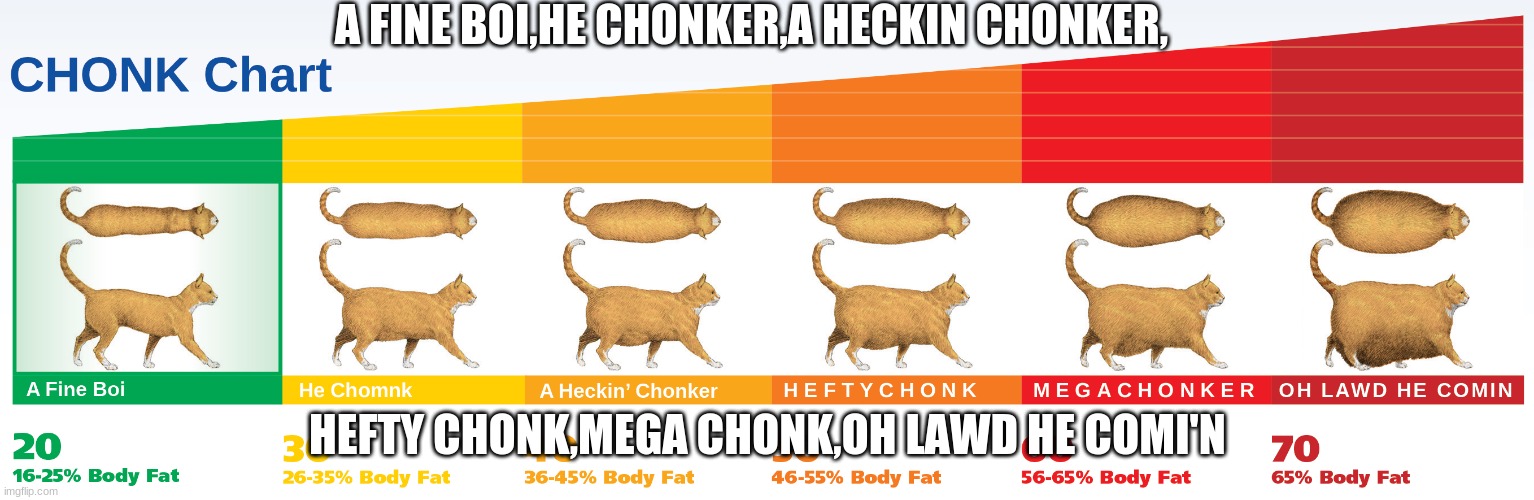 chonk chart | A FINE BOI,HE CHONKER,A HECKIN CHONKER, HEFTY CHONK,MEGA CHONK,OH LAWD HE COMI'N | image tagged in cats | made w/ Imgflip meme maker