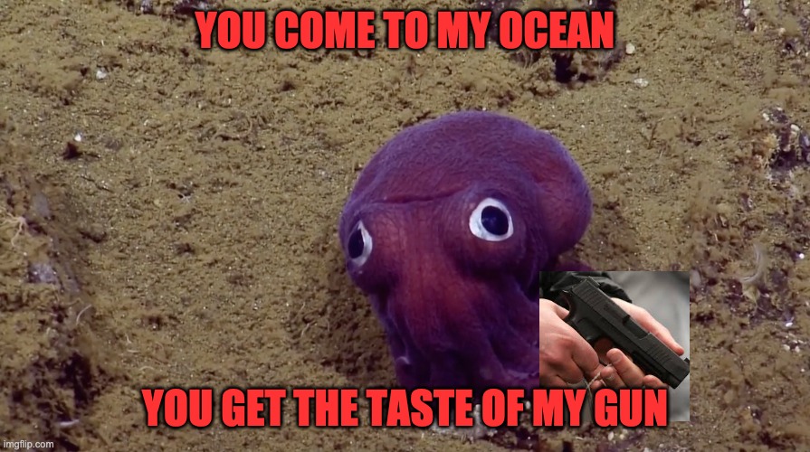 haha octo-boi has gun | YOU COME TO MY OCEAN; YOU GET THE TASTE OF MY GUN | image tagged in octopus,gun,memes,lol so funny | made w/ Imgflip meme maker