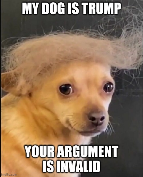 trump dog | MY DOG IS TRUMP; YOUR ARGUMENT IS INVALID | image tagged in dog,wig,trump | made w/ Imgflip meme maker
