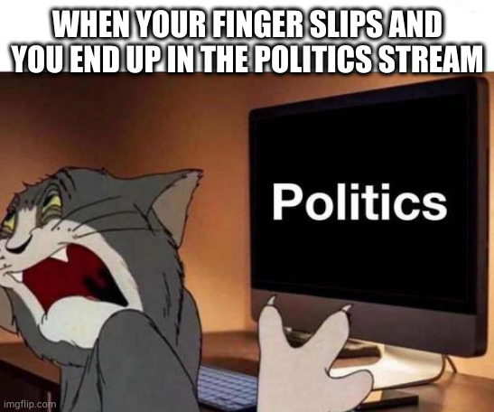 my first meme | WHEN YOUR FINGER SLIPS AND YOU END UP IN THE POLITICS STREAM | image tagged in politics,tom and jerry | made w/ Imgflip meme maker