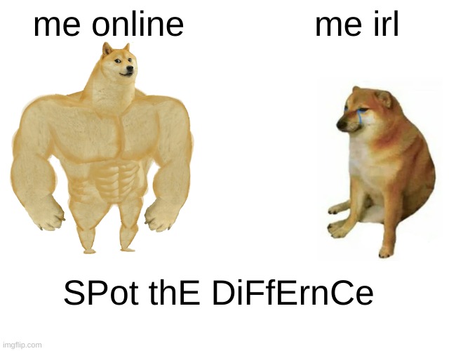 bru momant | me online; me irl; SPot thE DiFfErnCe | image tagged in memes,buff doge vs cheems | made w/ Imgflip meme maker