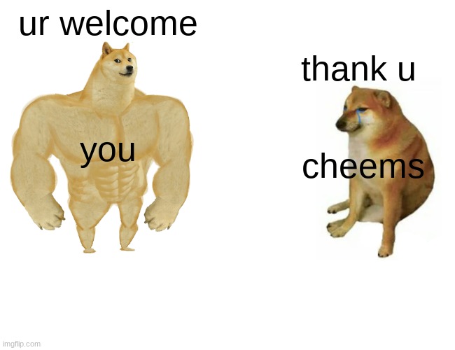 Buff Doge vs. Cheems Meme | ur welcome thank u you cheems | image tagged in memes,buff doge vs cheems | made w/ Imgflip meme maker