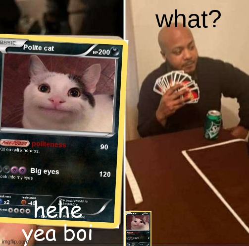 :l | what? hehe yea boi | image tagged in polite cat | made w/ Imgflip meme maker