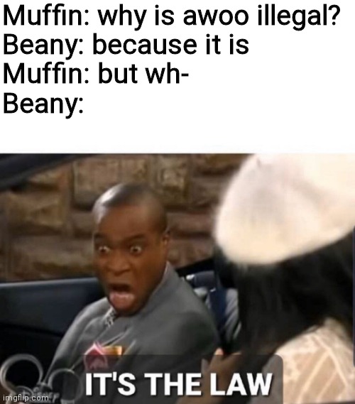 But why | Muffin: why is awoo illegal?
Beany: because it is
Muffin: but wh-
Beany: | image tagged in it's the law,why,awoo,illegal,tell me,tell me why awoo is illegal | made w/ Imgflip meme maker