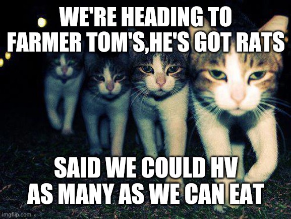 Wrong Neighboorhood Cats |  WE'RE HEADING TO FARMER TOM'S,HE'S GOT RATS; SAID WE COULD HV AS MANY AS WE CAN EAT | image tagged in memes,wrong neighboorhood cats | made w/ Imgflip meme maker