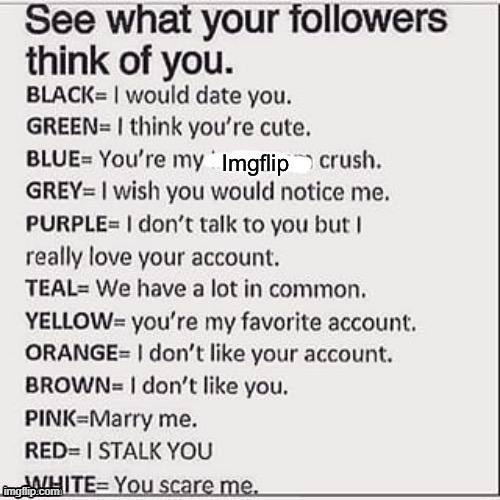 Oh and can i e a moderator of this stream.Im not begging just asking | image tagged in se what your followers think of you | made w/ Imgflip meme maker