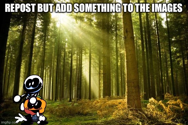 Boredom | REPOST BUT ADD SOMETHING TO THE IMAGES | image tagged in sunlit forest | made w/ Imgflip meme maker