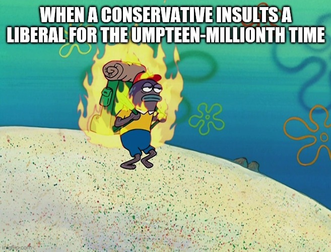 It grows dull on us. We've heard them all before! | WHEN A CONSERVATIVE INSULTS A LIBERAL FOR THE UMPTEEN-MILLIONTH TIME | image tagged in memes,politics,liberals vs conservatives,insults | made w/ Imgflip meme maker