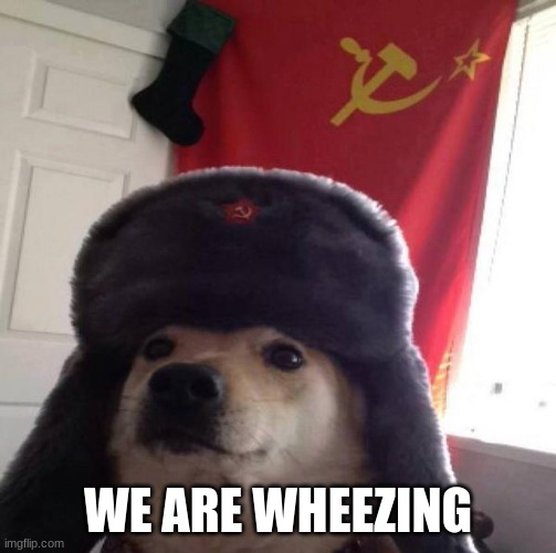 Russian Doge | WE ARE WHEEZING | image tagged in russian doge | made w/ Imgflip meme maker