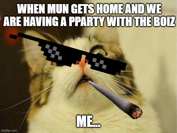 Scared Cat | WHEN MUN GETS HOME AND WE ARE HAVING A PPARTY WITH THE BOIZ; ME... | image tagged in memes,scared cat | made w/ Imgflip meme maker