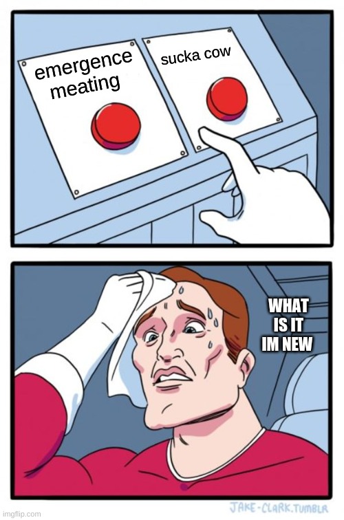 Two Buttons Meme | sucka cow; emergence meating; WHAT IS IT IM NEW | image tagged in memes,two buttons | made w/ Imgflip meme maker
