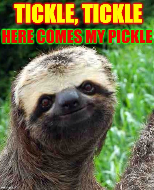 Your Friendly Helpful Sloth! |  TICKLE, TICKLE; HERE COMES MY PICKLE | image tagged in vince vance,zootopia sloth,whisper sloth,memes,nasty,sloths | made w/ Imgflip meme maker
