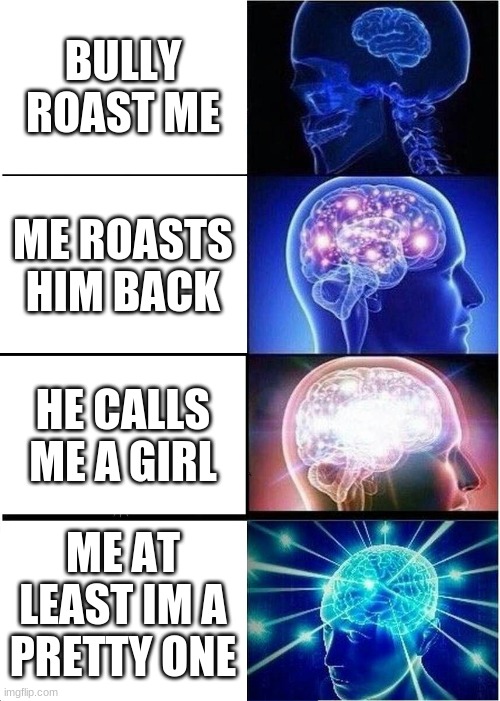 just cuz |  BULLY ROAST ME; ME ROASTS HIM BACK; HE CALLS ME A GIRL; ME AT LEAST IM A PRETTY ONE | image tagged in memes,expanding brain | made w/ Imgflip meme maker