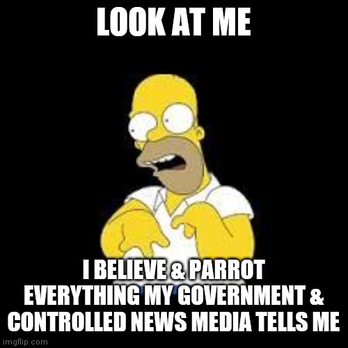 Look Marge | LOOK AT ME; I BELIEVE & PARROT EVERYTHING MY GOVERNMENT & CONTROLLED NEWS MEDIA TELLS ME | image tagged in look marge,brainwashed,politics,memes,homer,funny | made w/ Imgflip meme maker