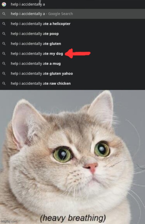 image tagged in memes,heavy breathing cat | made w/ Imgflip meme maker