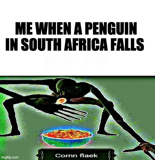 The Weirdest Meme Ever | ME WHEN A PENGUIN IN SOUTH AFRICA FALLS | image tagged in corn flaek | made w/ Imgflip meme maker