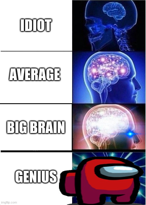 Expanding Brain | IDIOT; AVERAGE; BIG BRAIN; GENIUS | image tagged in memes,expanding brain | made w/ Imgflip meme maker