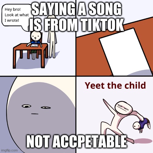 Yeet the child | SAYING A SONG IS FROM TIKTOK; NOT ACCPETABLE | image tagged in yeet the child | made w/ Imgflip meme maker