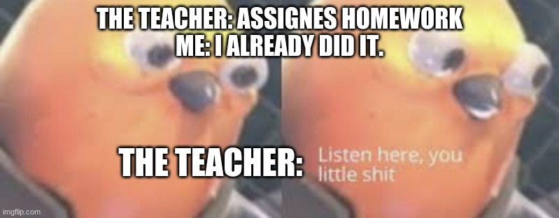 Listen here you little shit bird | THE TEACHER: ASSIGNES HOMEWORK
ME: I ALREADY DID IT. THE TEACHER: | image tagged in listen here you little shit bird | made w/ Imgflip meme maker