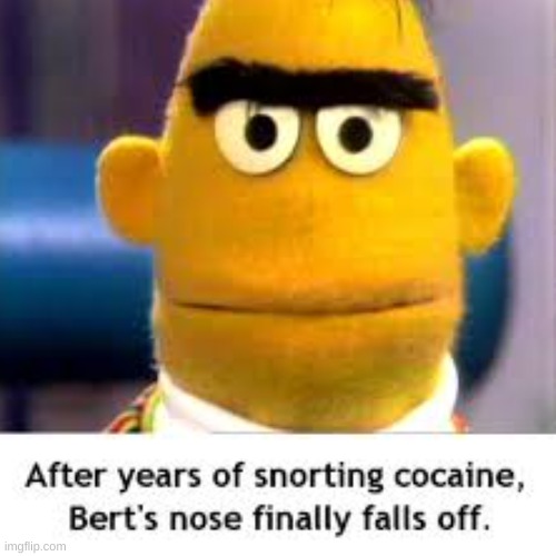 This is what happens bert... | image tagged in bert,sesame street | made w/ Imgflip meme maker