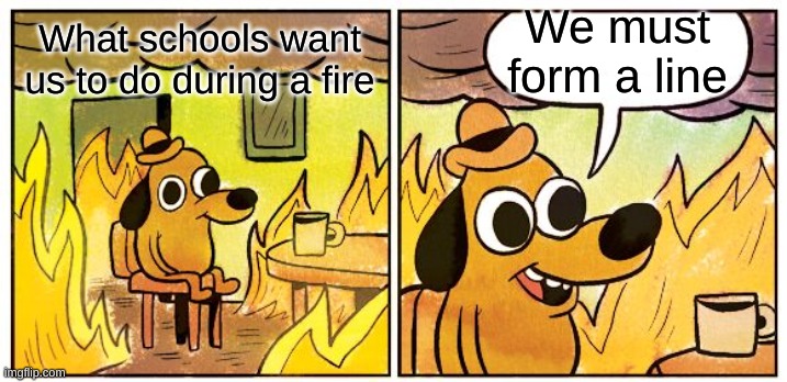 This Is Fine | We must form a line; What schools want us to do during a fire | image tagged in memes,this is fine | made w/ Imgflip meme maker