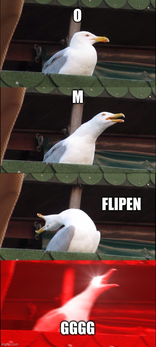 Inhaling Seagull Meme | O M FLIPEN GGGG | image tagged in memes,inhaling seagull | made w/ Imgflip meme maker