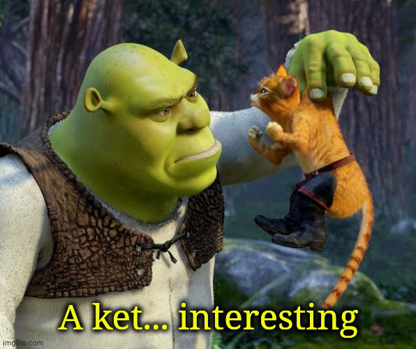 A ket... interesting | made w/ Imgflip meme maker