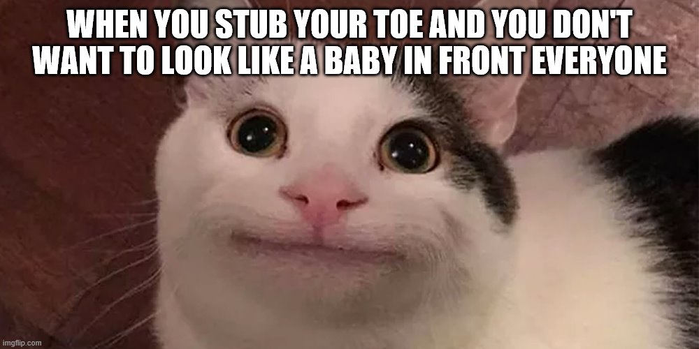 WHEN YOU STUB YOUR TOE AND YOU DON'T WANT TO LOOK LIKE A BABY IN FRONT EVERYONE | image tagged in memes | made w/ Imgflip meme maker