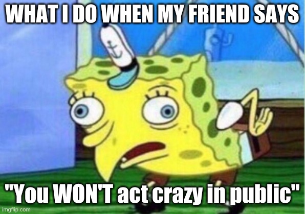 YOU WONT MEME | WHAT I DO WHEN MY FRIEND SAYS; "You WON'T act crazy in public" | image tagged in memes,mocking spongebob | made w/ Imgflip meme maker