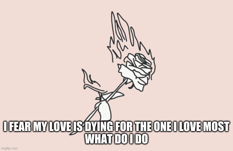 burning rose | I FEAR MY LOVE IS DYING FOR THE ONE I LOVE MOST
WHAT DO I DO | image tagged in burning rose | made w/ Imgflip meme maker