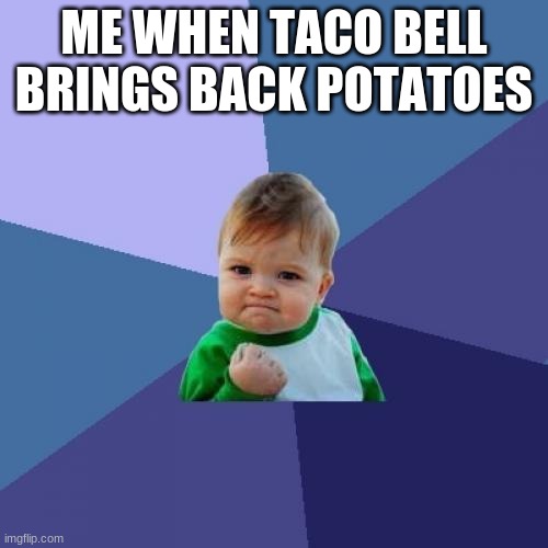 Do it Taco Bell! | ME WHEN TACO BELL BRINGS BACK POTATOES | image tagged in memes,success kid | made w/ Imgflip meme maker