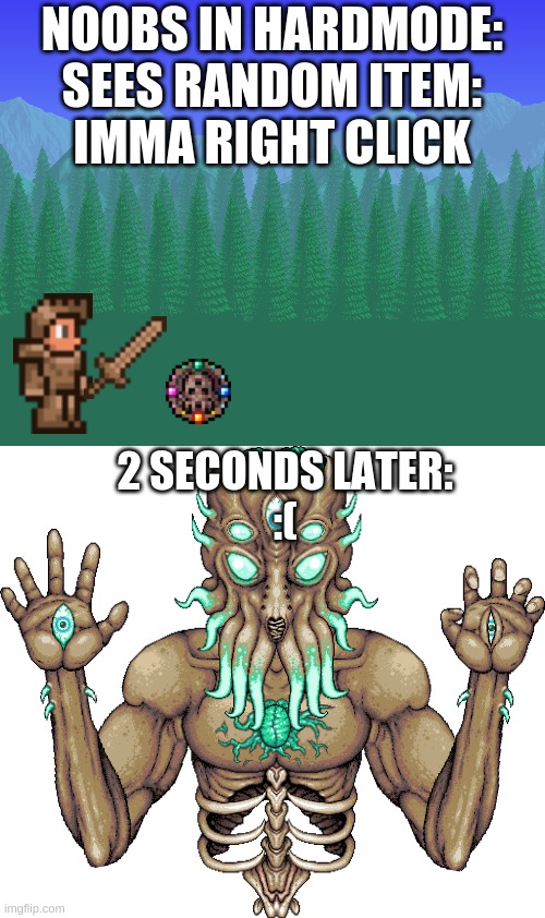 Noobs In Terraria | NOOBS IN HARDMODE:
SEES RANDOM ITEM:
IMMA RIGHT CLICK; 2 SECONDS LATER:
:( | image tagged in terraria | made w/ Imgflip meme maker