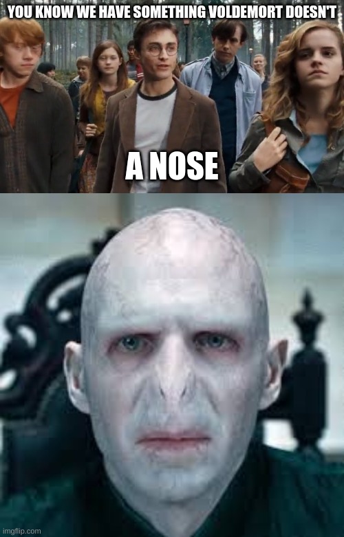 Voldemorts nose wait he doesn't have one |  YOU KNOW WE HAVE SOMETHING VOLDEMORT DOESN'T; A NOSE | image tagged in harry potter,hermione granger,ron weasley,voldemort | made w/ Imgflip meme maker