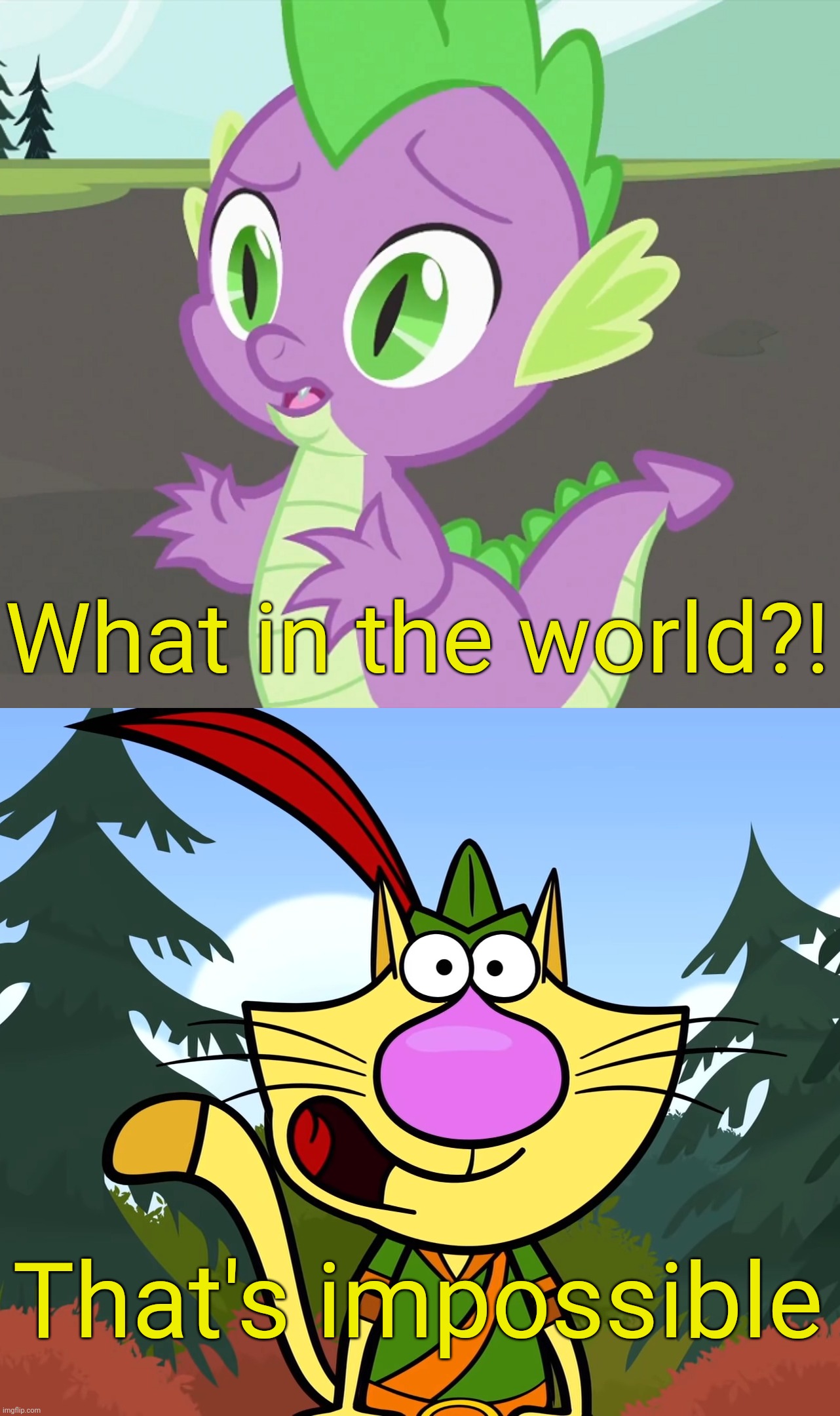 No Way!! (Nature Cat) | What in the world?! That's impossible | image tagged in no way nature cat | made w/ Imgflip meme maker