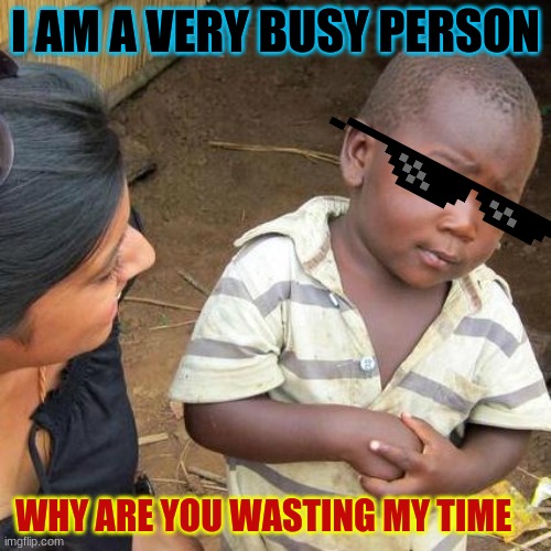I'm a very busy person | I AM A VERY BUSY PERSON; WHY ARE YOU WASTING MY TIME | image tagged in busy | made w/ Imgflip meme maker