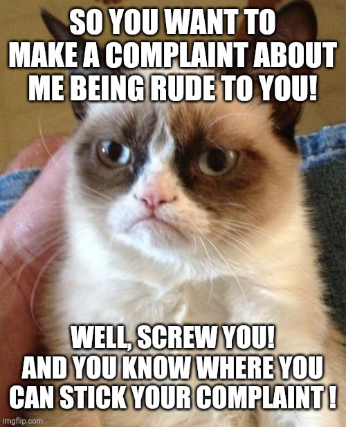 Grumpy Cat Meme | SO YOU WANT TO MAKE A COMPLAINT ABOUT ME BEING RUDE TO YOU! WELL, SCREW YOU!
AND YOU KNOW WHERE YOU CAN STICK YOUR COMPLAINT ! | image tagged in memes,grumpy cat | made w/ Imgflip meme maker