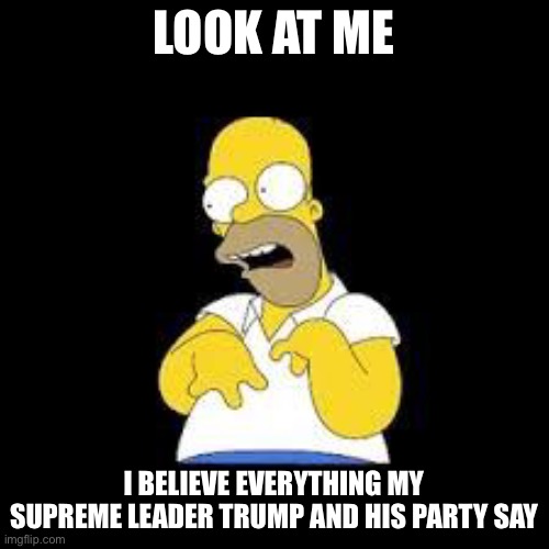 Look Marge | LOOK AT ME I BELIEVE EVERYTHING MY SUPREME LEADER TRUMP AND HIS PARTY SAY | image tagged in look marge | made w/ Imgflip meme maker