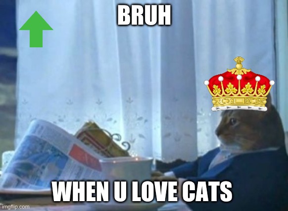 Cats | BRUH; WHEN U LOVE CATS | image tagged in memes,i should buy a boat cat | made w/ Imgflip meme maker