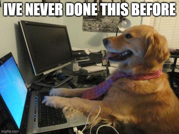 i have no idea | IVE NEVER DONE THIS BEFORE | image tagged in i have no idea | made w/ Imgflip meme maker