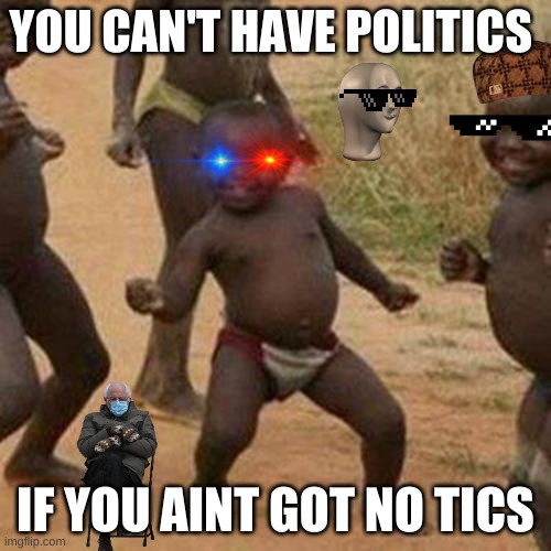 ayyyyyyyy | YOU CAN'T HAVE POLITICS; IF YOU AINT GOT NO TICS | image tagged in memes,third world success kid,funny | made w/ Imgflip meme maker