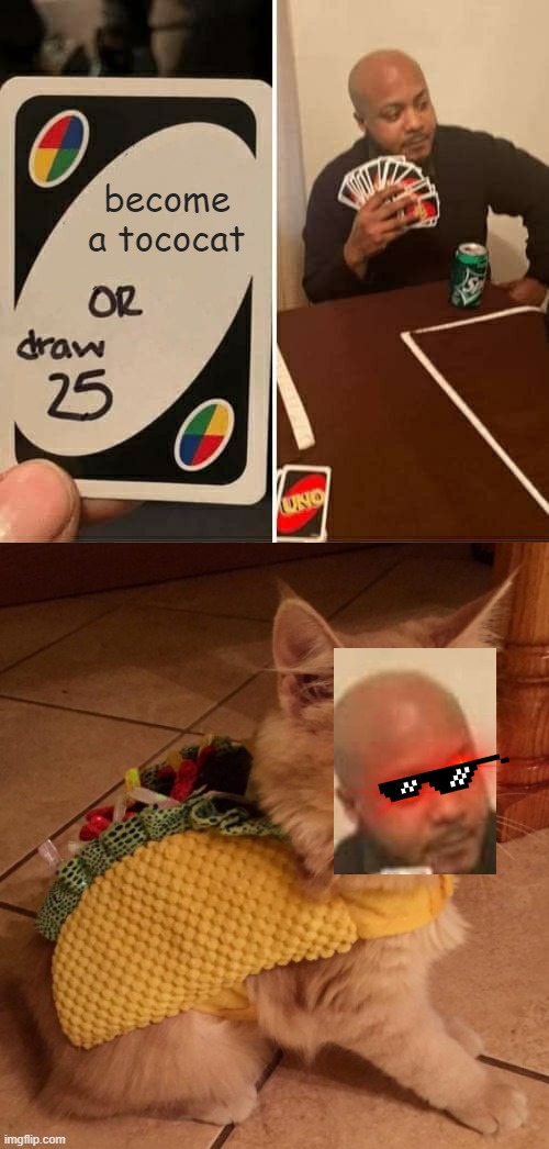 become a tococat | image tagged in memes,uno draw 25 cards,tacocat | made w/ Imgflip meme maker