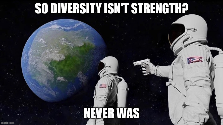 It never was | SO DIVERSITY ISN'T STRENGTH? NEVER WAS | image tagged in it never was | made w/ Imgflip meme maker