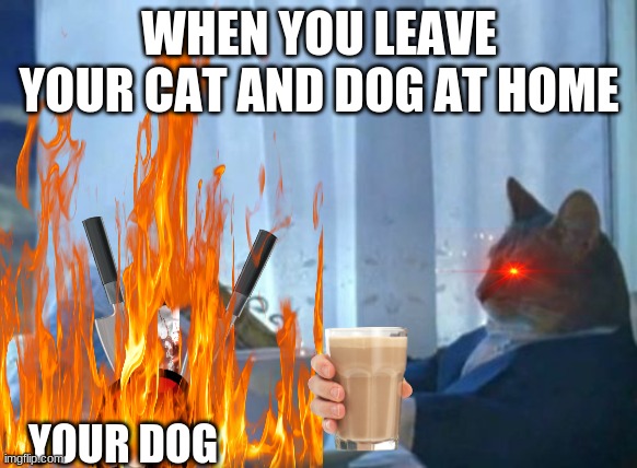 when you leave your cat at home | WHEN YOU LEAVE YOUR CAT AND DOG AT HOME; YOUR DOG | image tagged in i should buy a boat cat | made w/ Imgflip meme maker